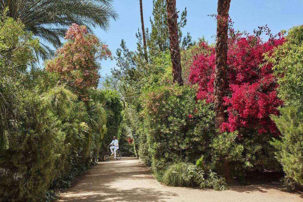 Parker Palm Springs Hotel Ngoại thất bức ảnh